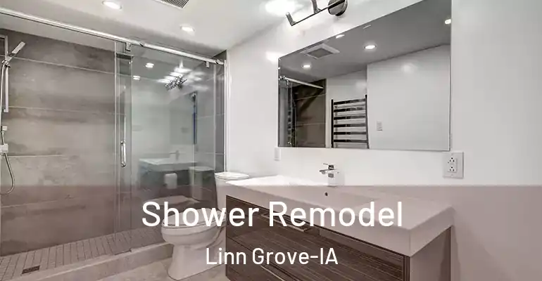 inner Bathroom imggen Shower Remodel Linn Grove-IA