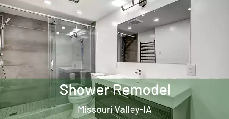 inner Bathroom imggen Shower Remodel Missouri Valley-IA