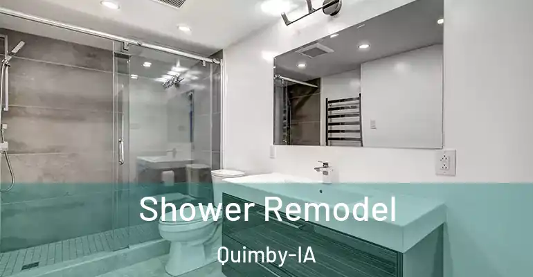 inner Bathroom imggen Shower Remodel Quimby-IA