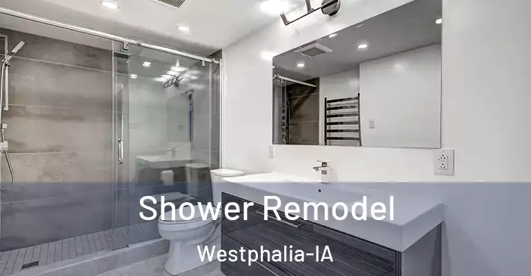 inner Bathroom imggen Shower Remodel Westphalia-IA