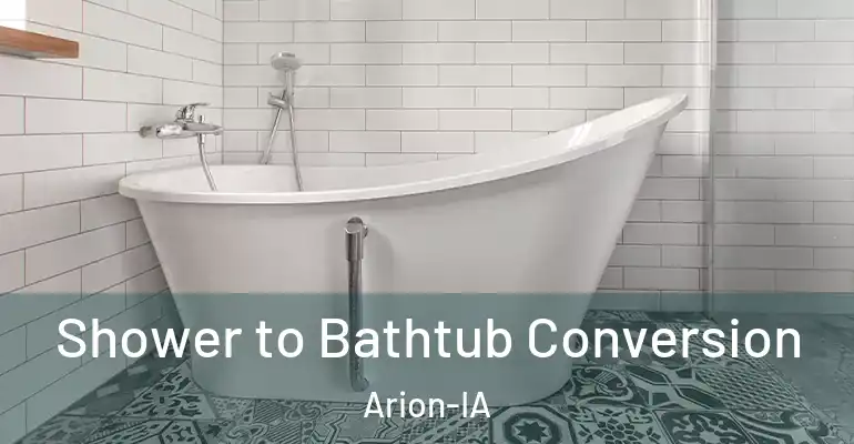 inner Bathroom imggen Shower to Bathtub Conversion Arion-IA