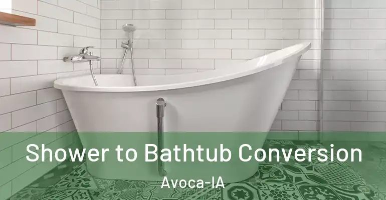 inner Bathroom imggen Shower to Bathtub Conversion Avoca-IA