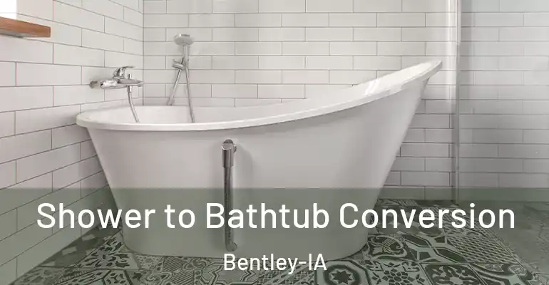 inner Bathroom imggen Shower to Bathtub Conversion Bentley-IA