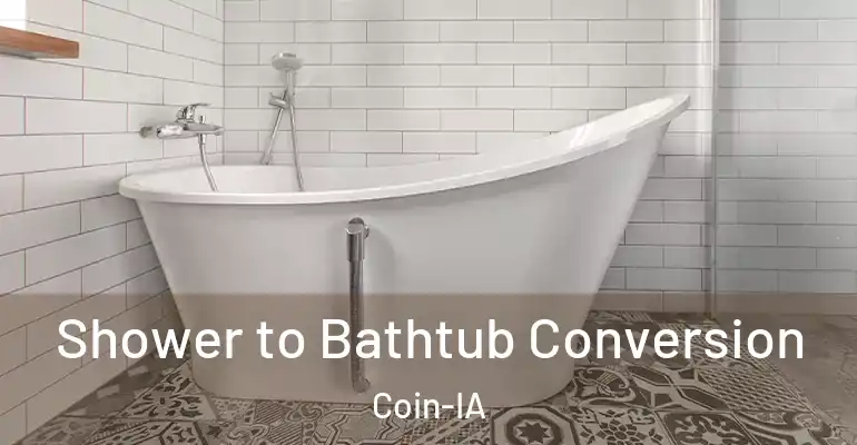 inner Bathroom imggen Shower to Bathtub Conversion Coin-IA