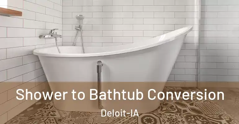 inner Bathroom imggen Shower to Bathtub Conversion Deloit-IA