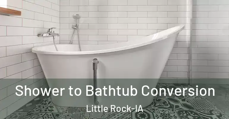 inner Bathroom imggen Shower to Bathtub Conversion Little Rock-IA