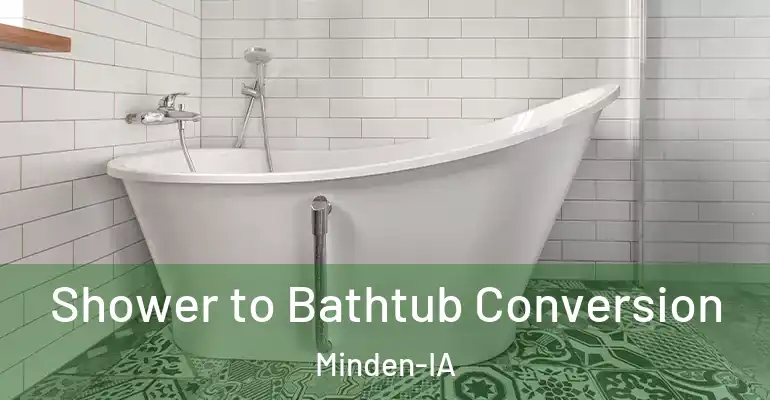 inner Bathroom imggen Shower to Bathtub Conversion Minden-IA