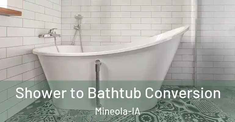 inner Bathroom imggen Shower to Bathtub Conversion Mineola-IA