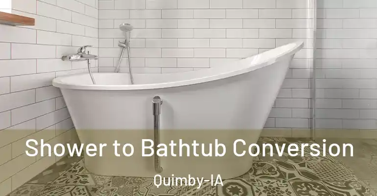 inner Bathroom imggen Shower to Bathtub Conversion Quimby-IA
