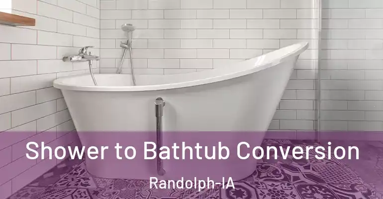 inner Bathroom imggen Shower to Bathtub Conversion Randolph-IA