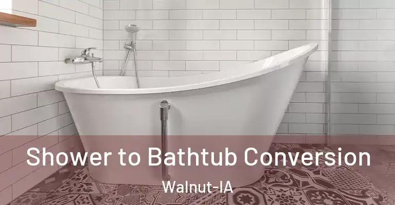 inner Bathroom imggen Shower to Bathtub Conversion Walnut-IA