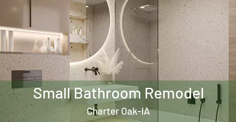 inner Bathroom imggen Small Bathroom Remodel Charter Oak-IA