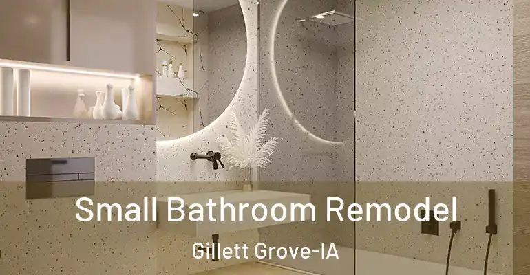 inner Bathroom imggen Small Bathroom Remodel Gillett Grove-IA