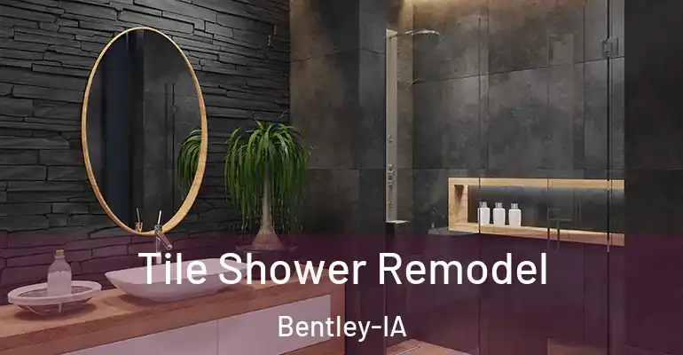 inner Bathroom imggen Tile Shower Remodel Bentley-IA