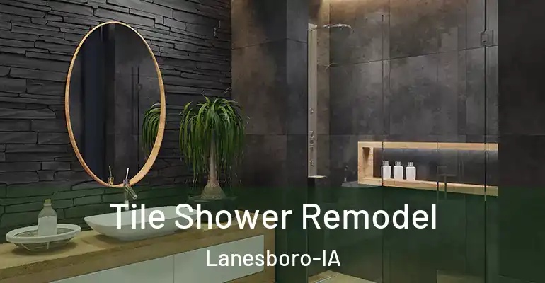 inner Bathroom imggen Tile Shower Remodel Lanesboro-IA