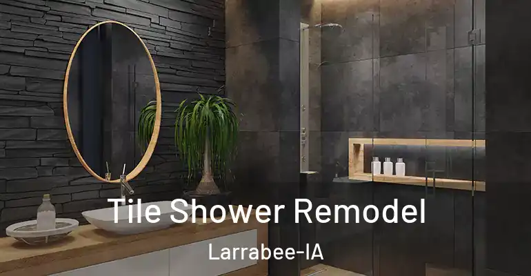 inner Bathroom imggen Tile Shower Remodel Larrabee-IA