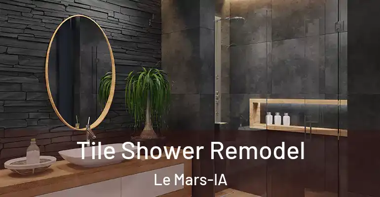 inner Bathroom imggen Tile Shower Remodel Le Mars-IA