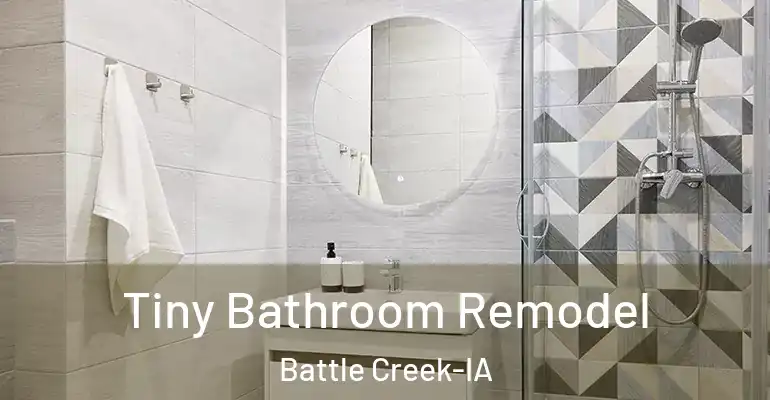 inner Bathroom imggen Tiny Bathroom Remodel Battle Creek-IA