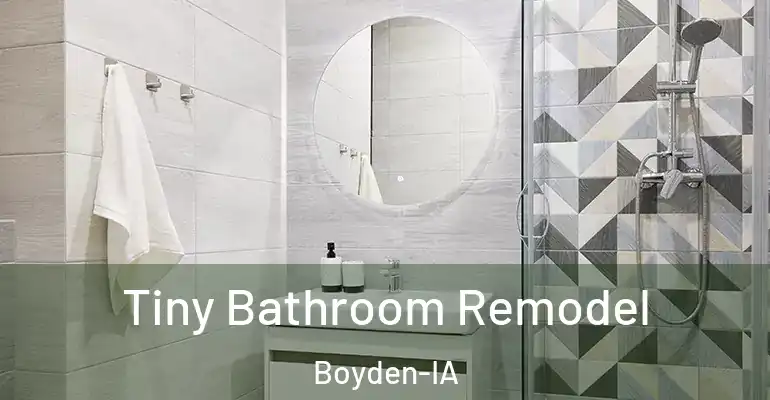 inner Bathroom imggen Tiny Bathroom Remodel Boyden-IA