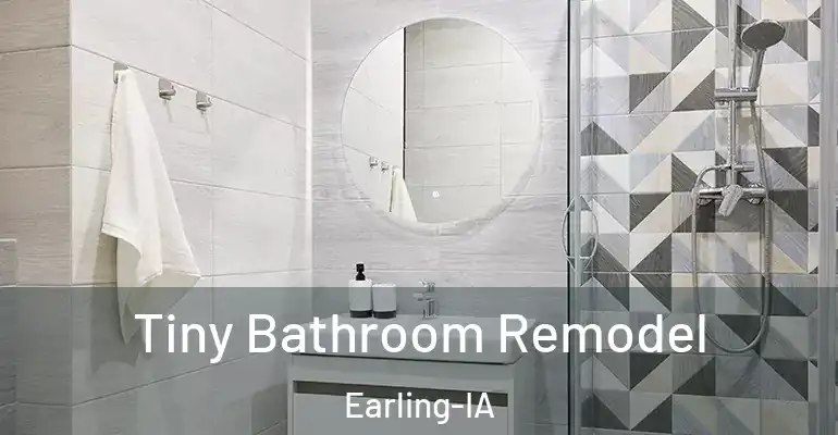 inner Bathroom imggen Tiny Bathroom Remodel Earling-IA