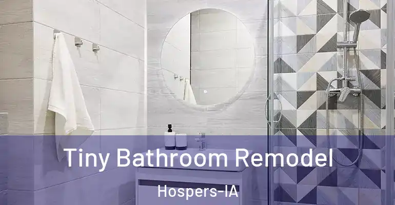 inner Bathroom imggen Tiny Bathroom Remodel Hospers-IA