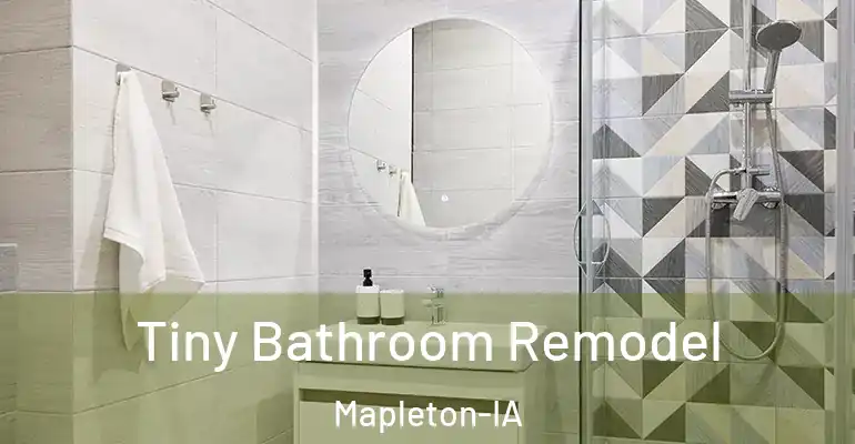 inner Bathroom imggen Tiny Bathroom Remodel Mapleton-IA