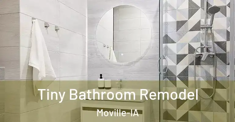 inner Bathroom imggen Tiny Bathroom Remodel Moville-IA