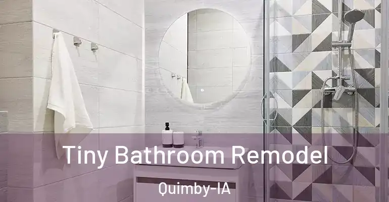 inner Bathroom imggen Tiny Bathroom Remodel Quimby-IA