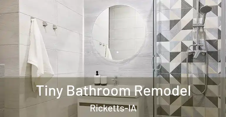 inner Bathroom imggen Tiny Bathroom Remodel Ricketts-IA