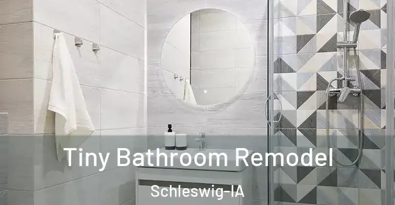 inner Bathroom imggen Tiny Bathroom Remodel Schleswig-IA