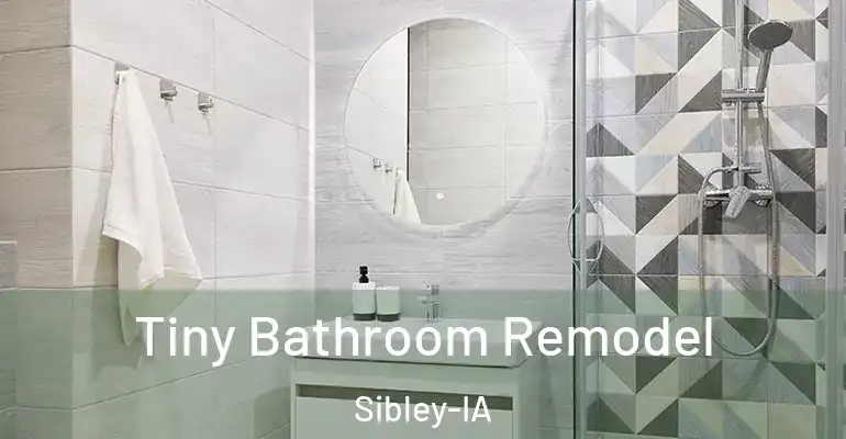 inner Bathroom imggen Tiny Bathroom Remodel Sibley-IA