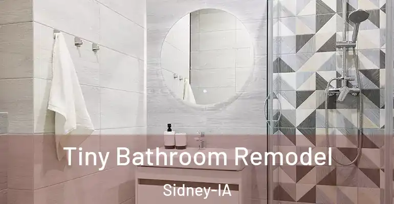 inner Bathroom imggen Tiny Bathroom Remodel Sidney-IA