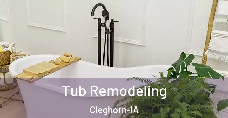 inner Bathroom imggen Tub Remodeling Cleghorn-IA