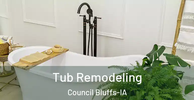 inner Bathroom imggen Tub Remodeling Council Bluffs-IA