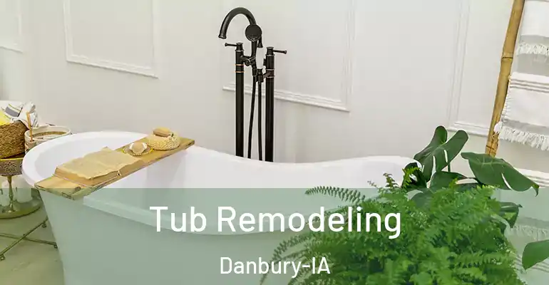 inner Bathroom imggen Tub Remodeling Danbury-IA