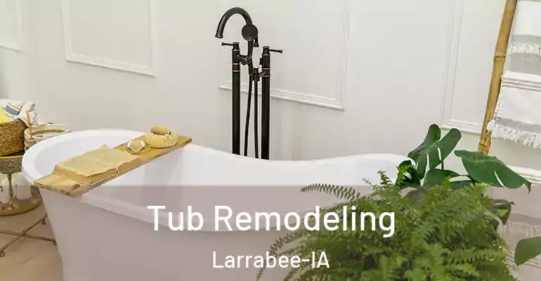 inner Bathroom imggen Tub Remodeling Larrabee-IA