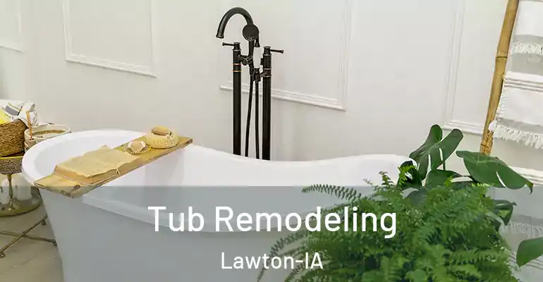 inner Bathroom imggen Tub Remodeling Lawton-IA