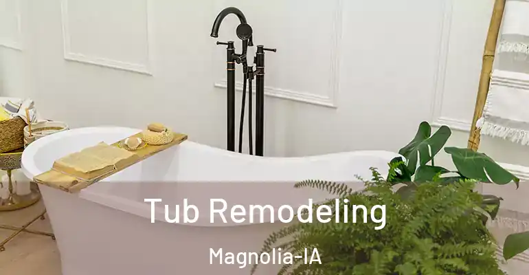 inner Bathroom imggen Tub Remodeling Magnolia-IA