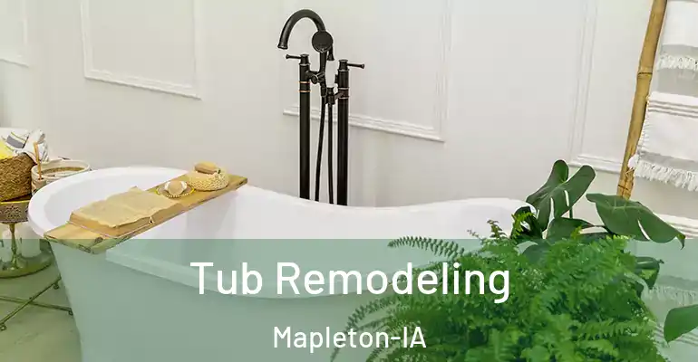 inner Bathroom imggen Tub Remodeling Mapleton-IA