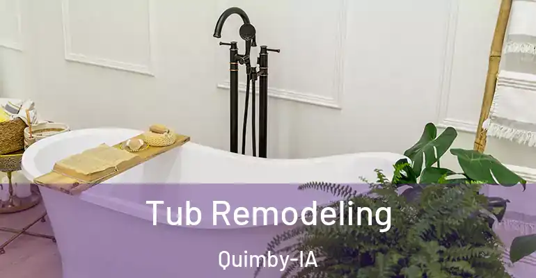 inner Bathroom imggen Tub Remodeling Quimby-IA