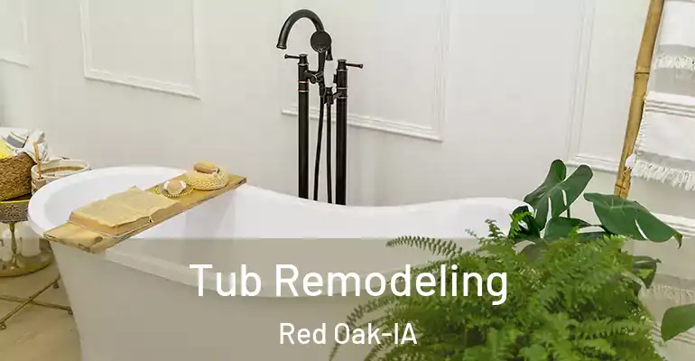 inner Bathroom imggen Tub Remodeling Red Oak-IA