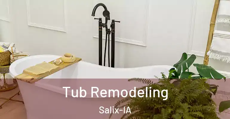 inner Bathroom imggen Tub Remodeling Salix-IA