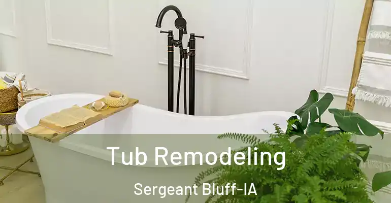 inner Bathroom imggen Tub Remodeling Sergeant Bluff-IA
