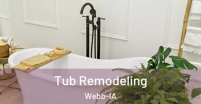 inner Bathroom imggen Tub Remodeling Webb-IA