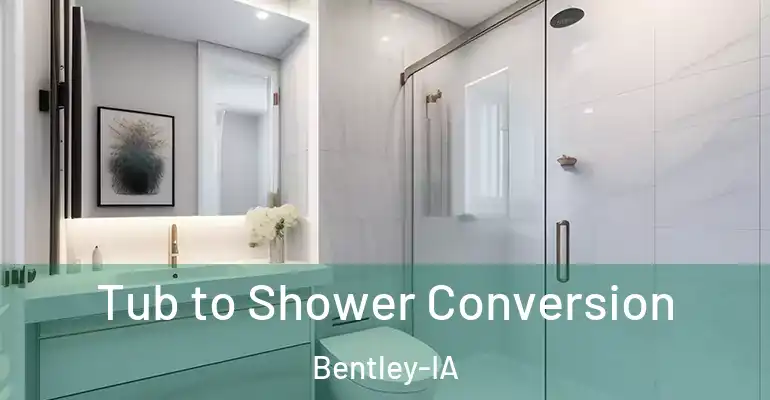 inner Bathroom imggen Tub to Shower Conversion Bentley-IA