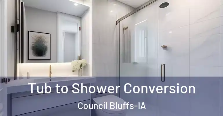 inner Bathroom imggen Tub to Shower Conversion Council Bluffs-IA