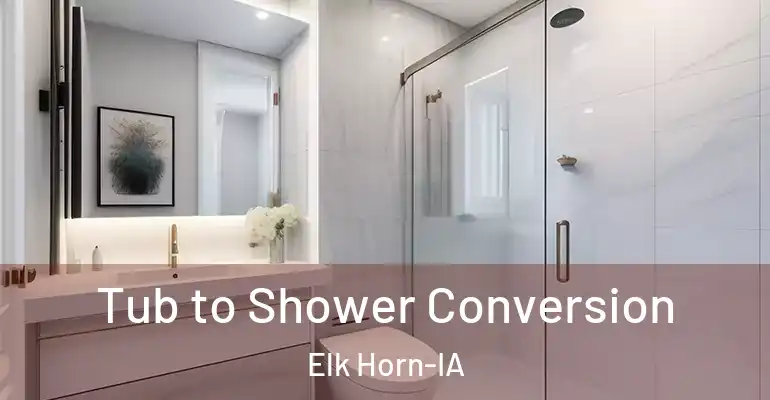 inner Bathroom imggen Tub to Shower Conversion Elk Horn-IA