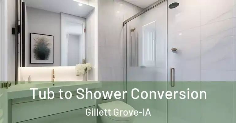 inner Bathroom imggen Tub to Shower Conversion Gillett Grove-IA