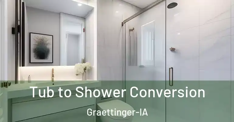 inner Bathroom imggen Tub to Shower Conversion Graettinger-IA