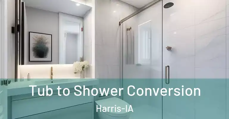 inner Bathroom imggen Tub to Shower Conversion Harris-IA